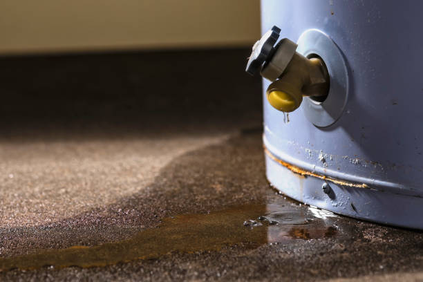 Best Flooded house restoration  in Fort Myers, FL