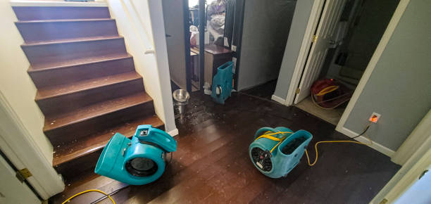 Best Professional water damage repair  in Fort Myers, FL
