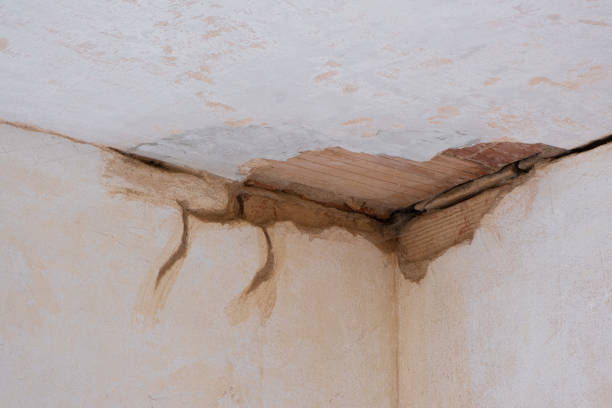 Best Water damage restoration near me  in Fort Myers, FL