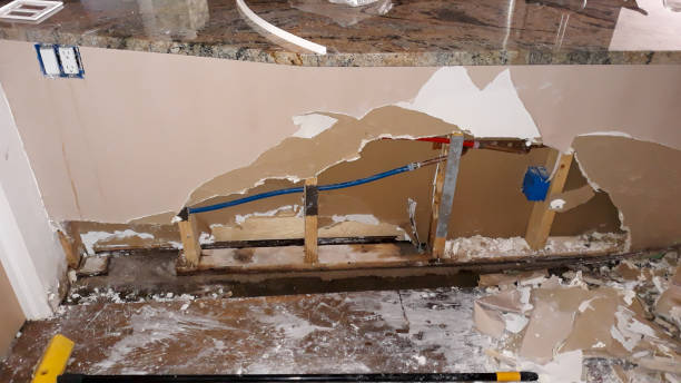 Best Ceiling water damage repair  in Fort Myers, FL