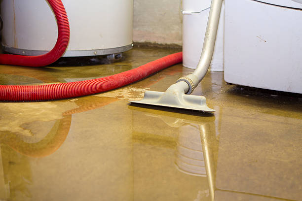 Best Carpet water damage restoration  in Fort Myers, FL