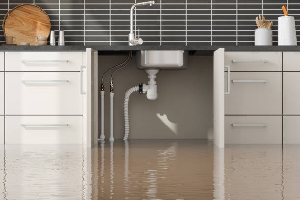 Best 24-hour water damage restoration  in Fort Myers, FL